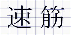 速筋