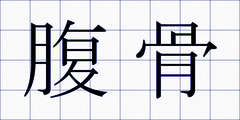 腹骨