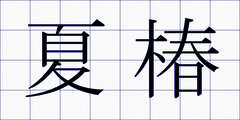 夏椿