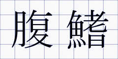 腹鰭
