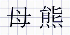 母熊