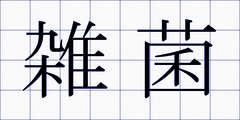 雑菌