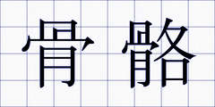 骨骼