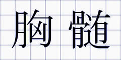 胸髄