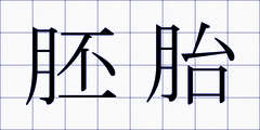 胚胎