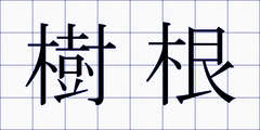 樹根