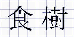 食樹
