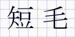 短毛