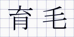 育毛