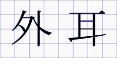 外耳