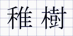 稚樹