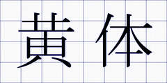 黄体