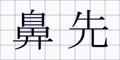 鼻先