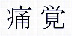 痛覚