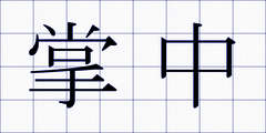 掌中