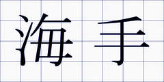 海手