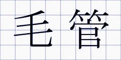 毛管