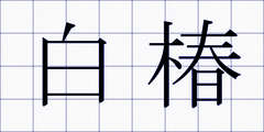 白椿