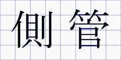 側管