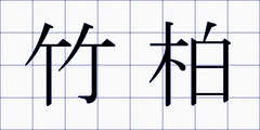 竹柏