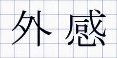 外感