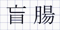 盲腸