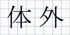 体外