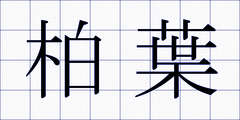 柏葉