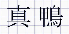 真鴨