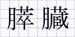 膵臓