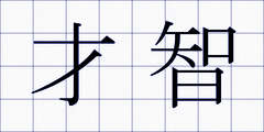 才智