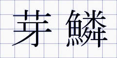 芽鱗