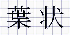 葉状