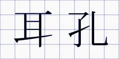 耳孔