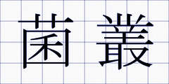菌叢