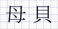母貝