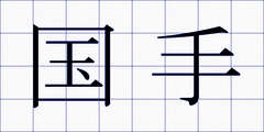 国手
