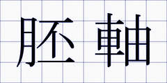 胚軸