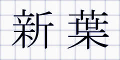 新葉
