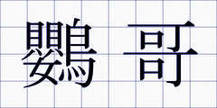 鸚哥