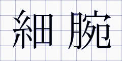 細腕
