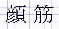 顔筋