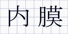 内膜