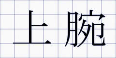 上腕