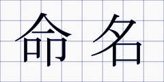 命名