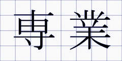 専業