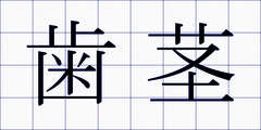 歯茎