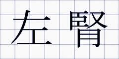左腎