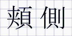 頬側