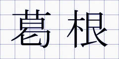 葛根